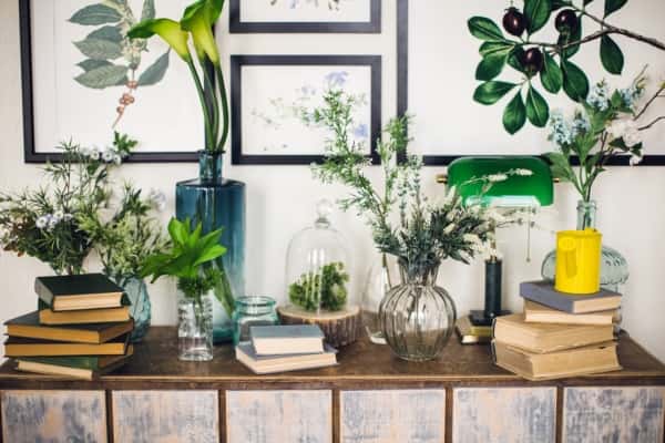 Plants for bookshelf