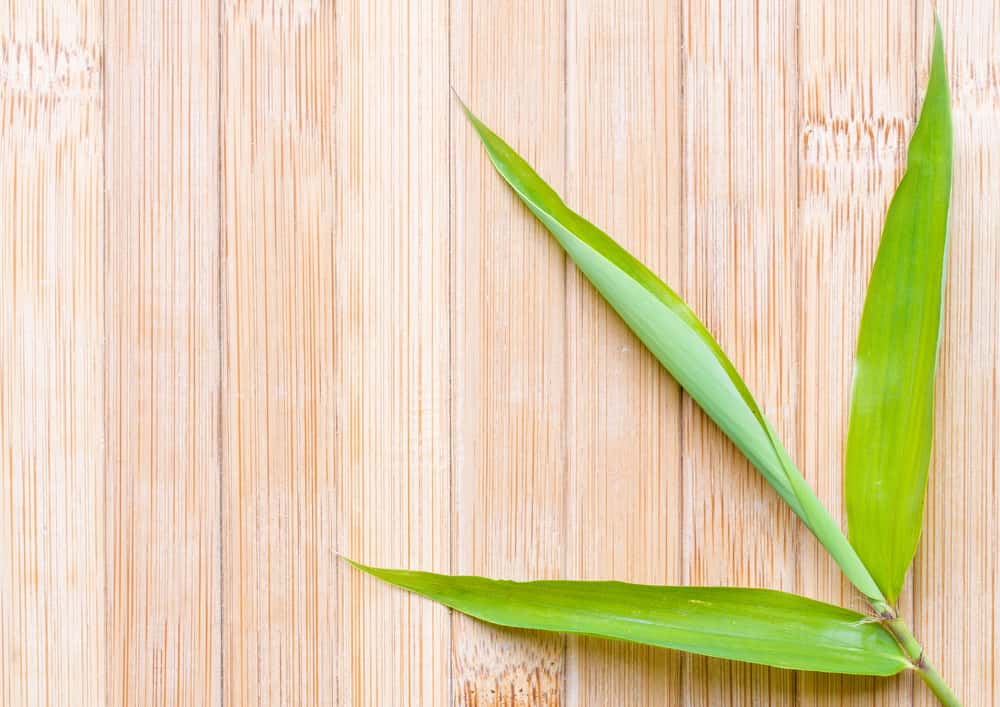 bamboo flooring for Bathroom