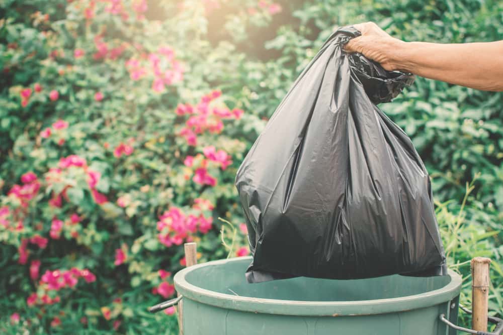 segregate waste