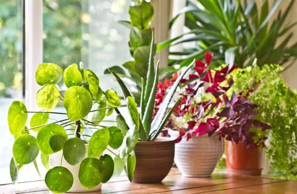 interior designing tips to improve your health