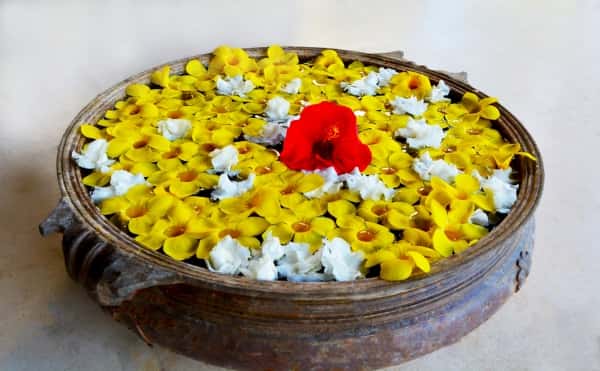 Traditional Interior Designs