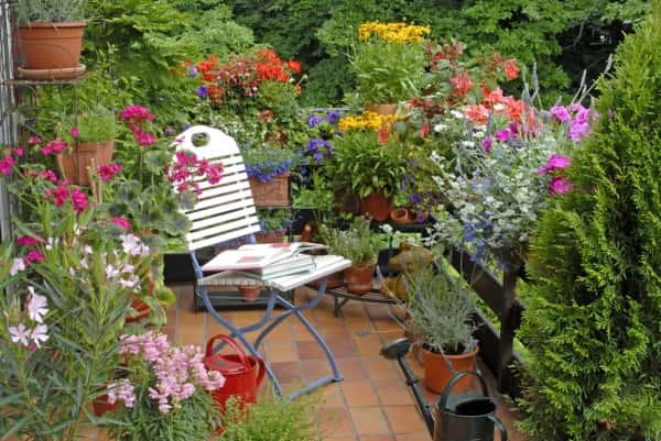 interior designing tips for wellness