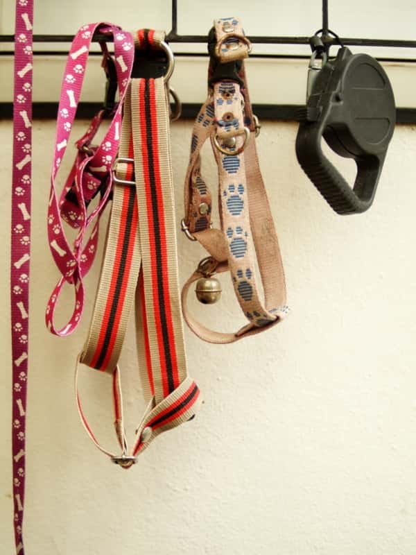 how to store pet items