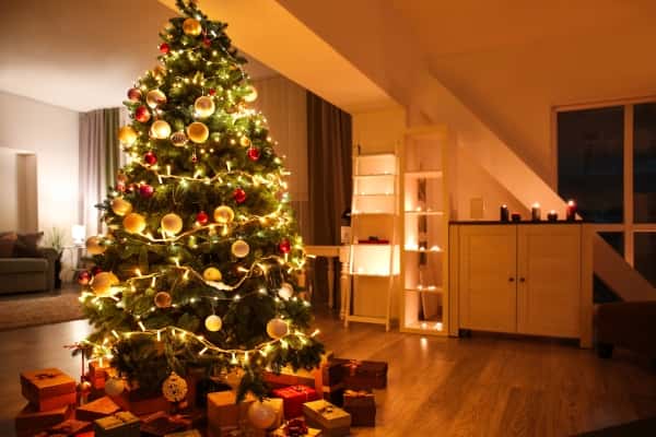 Winter Home Interiors