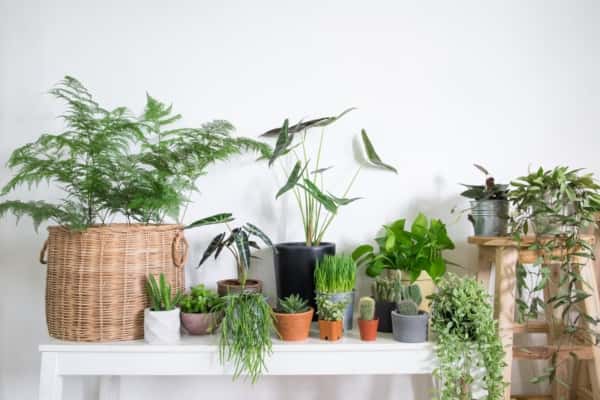 Home design tips to make your home Happier place