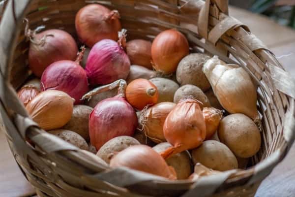 onions and potato storage ideas