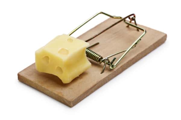 tips and remedies to keep your home pest free