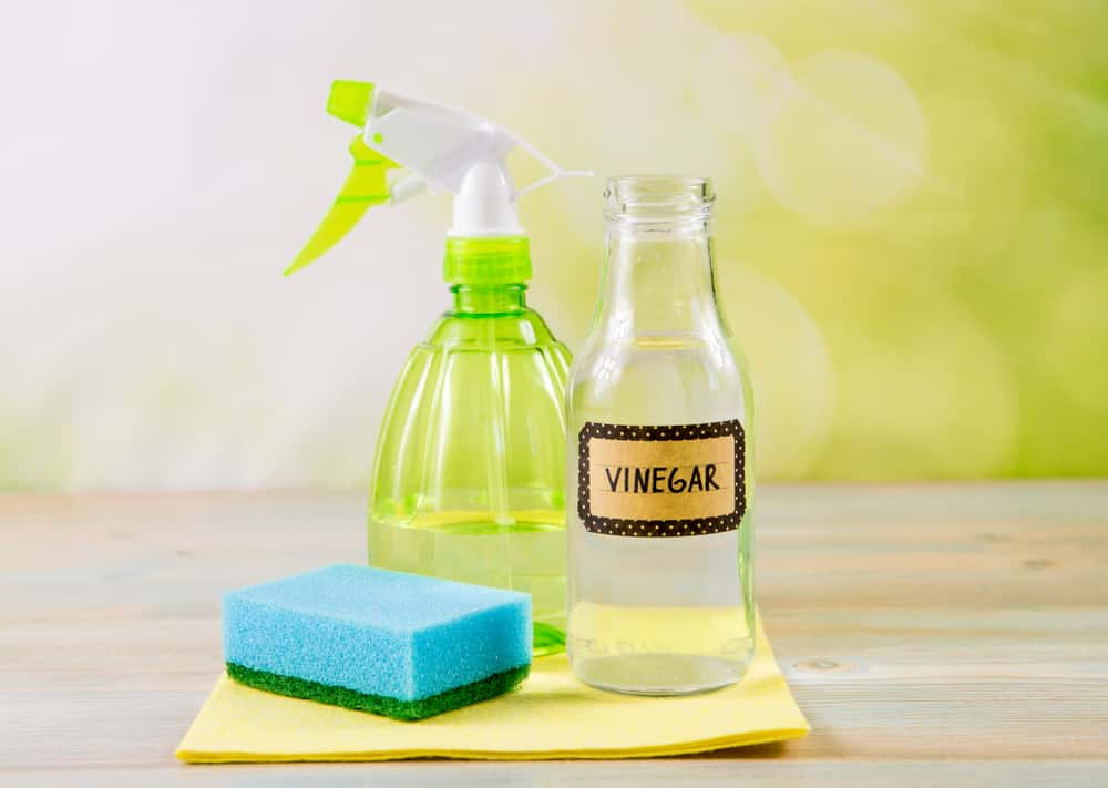 tips and remedies to keep your home pest free