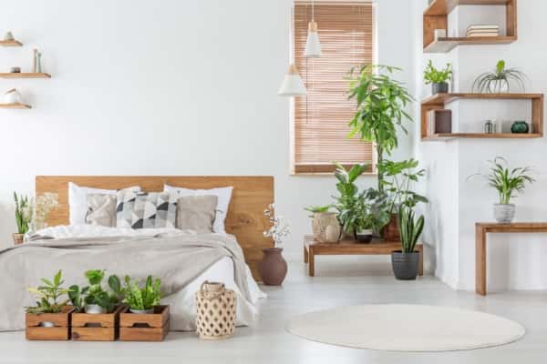 Greenery in your home