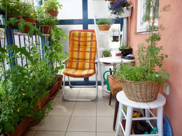 privacy for Your balcony