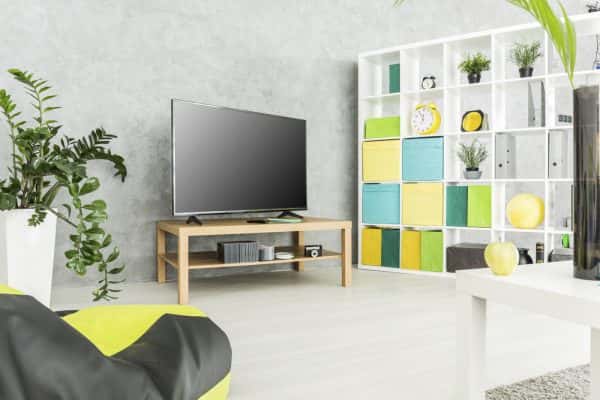plants for Bachelor pad