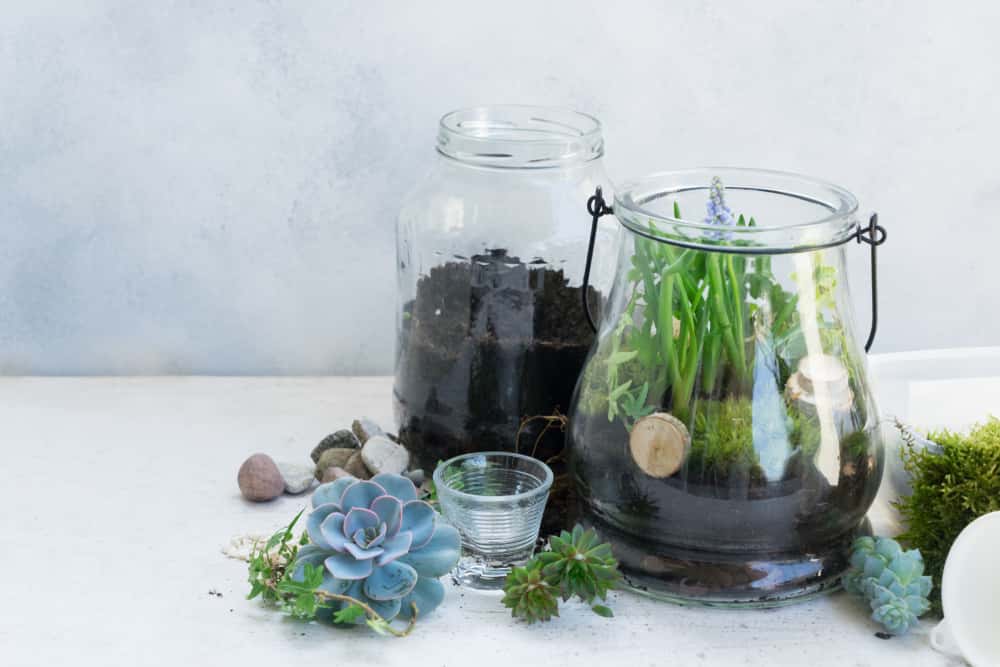 Mason Jar Garden Ideas