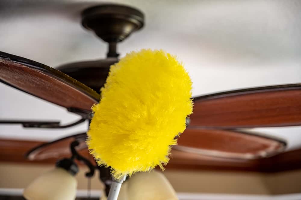 Lamp Shades and Fans