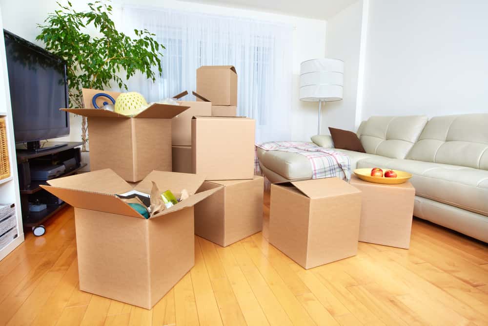 Rental Furniture
