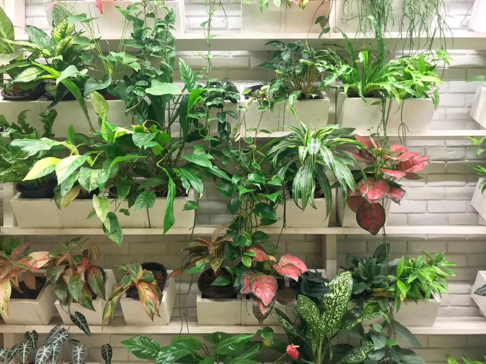 gallery design with vertical garden