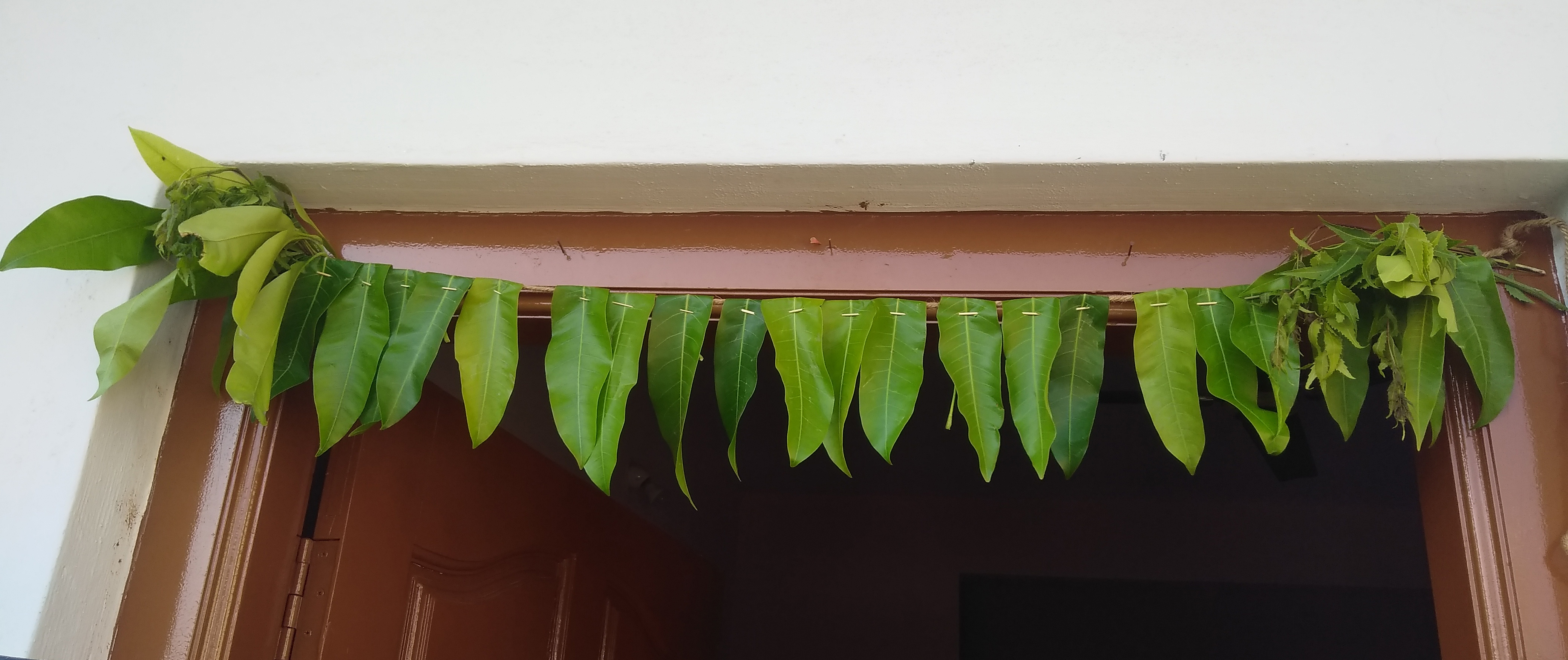Toran Ideas for Pongal