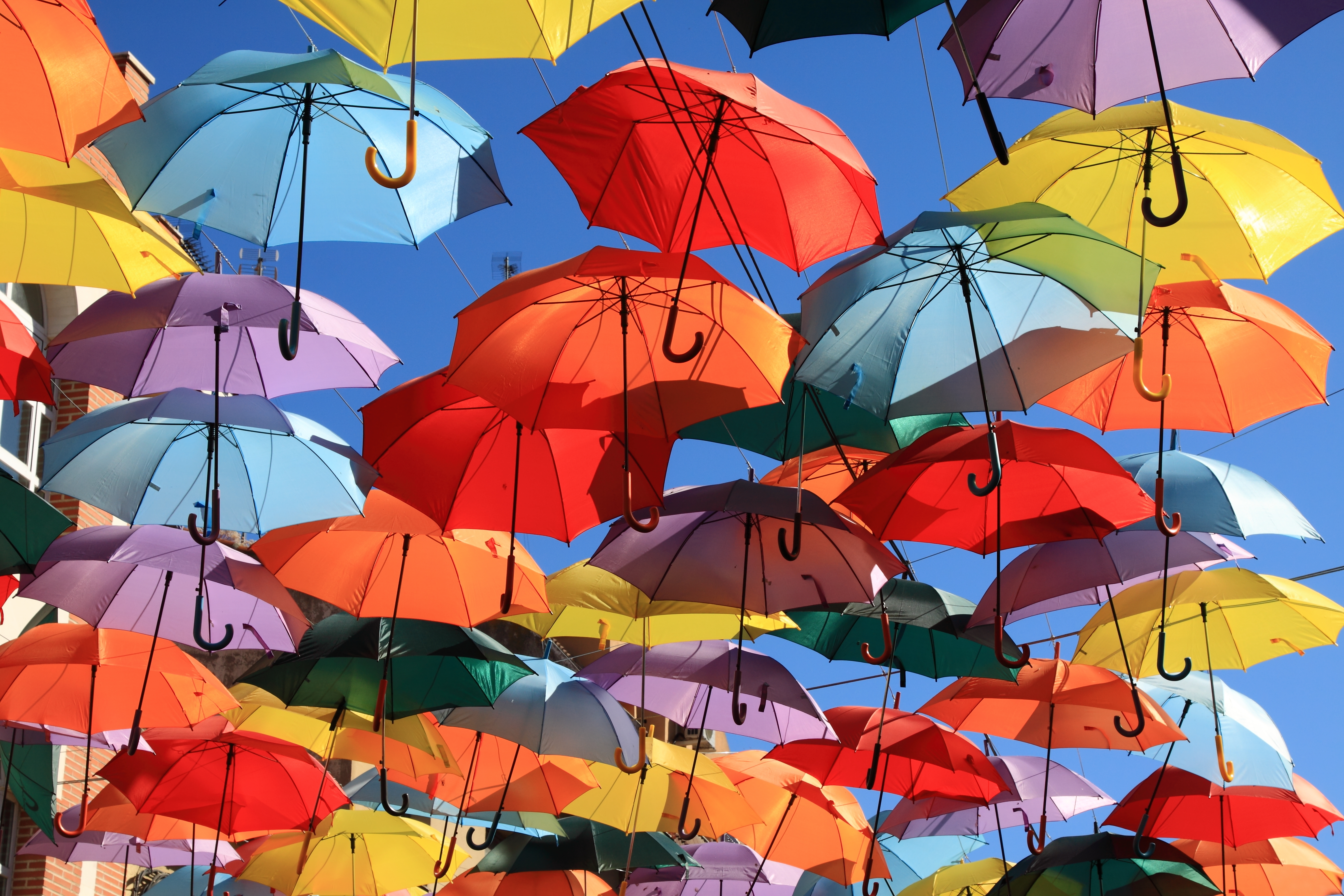 colorful umbrellla decoration