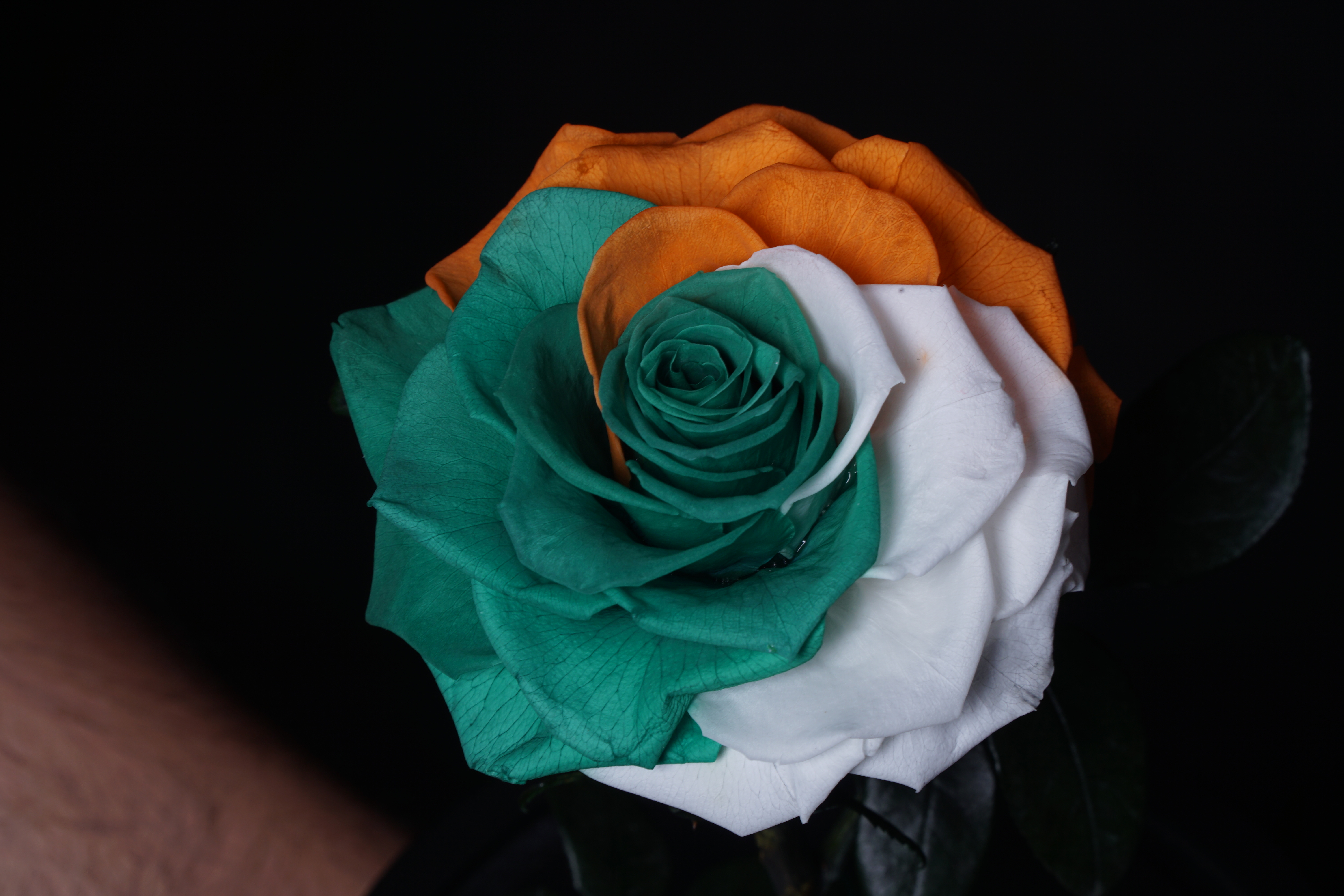 paper flower decoration idea
