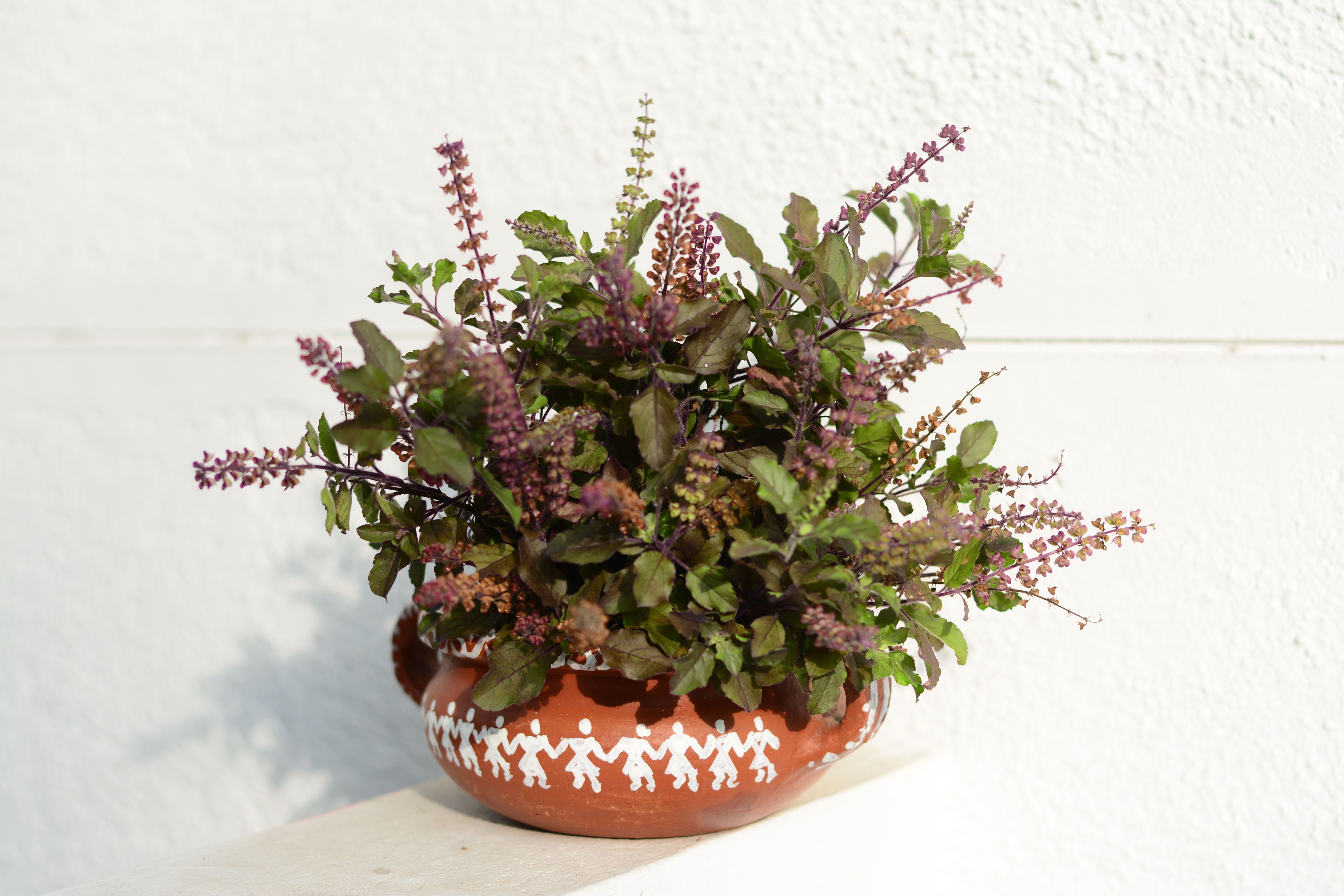 Terracotta Pots for Home