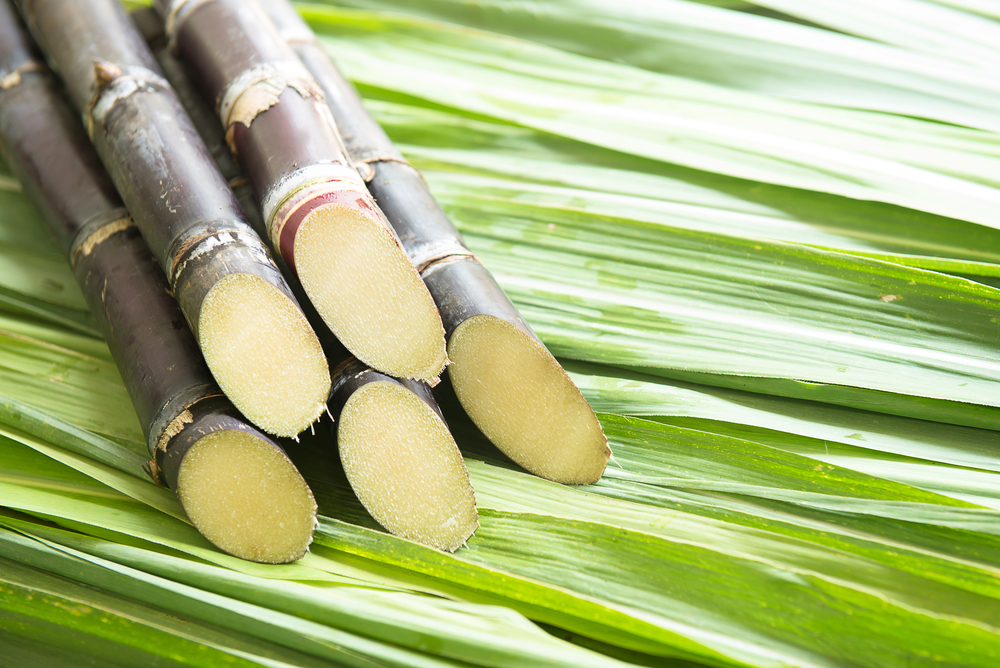 Decorated Pots and Sugarcane