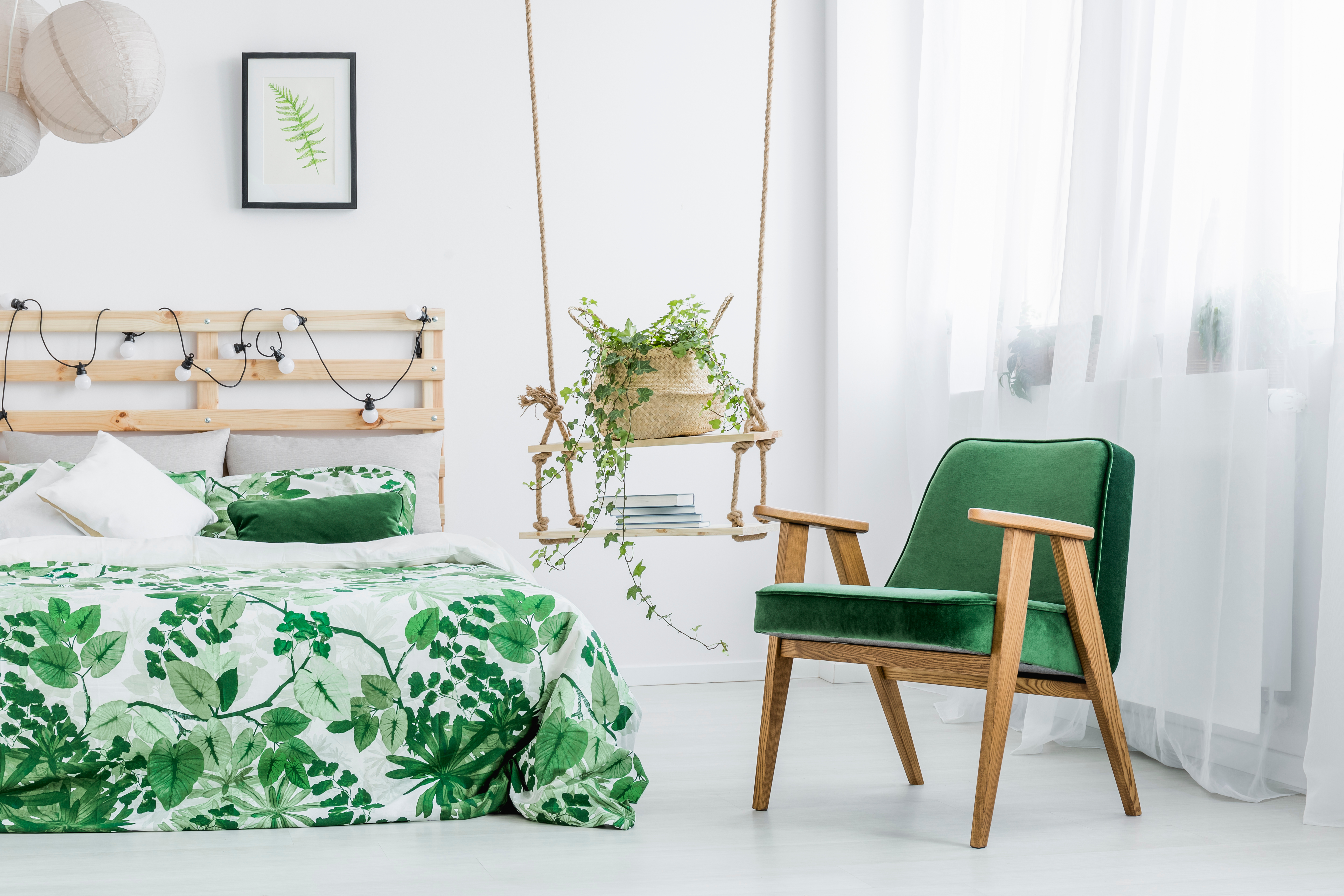 Hanging Plants in the bedroom