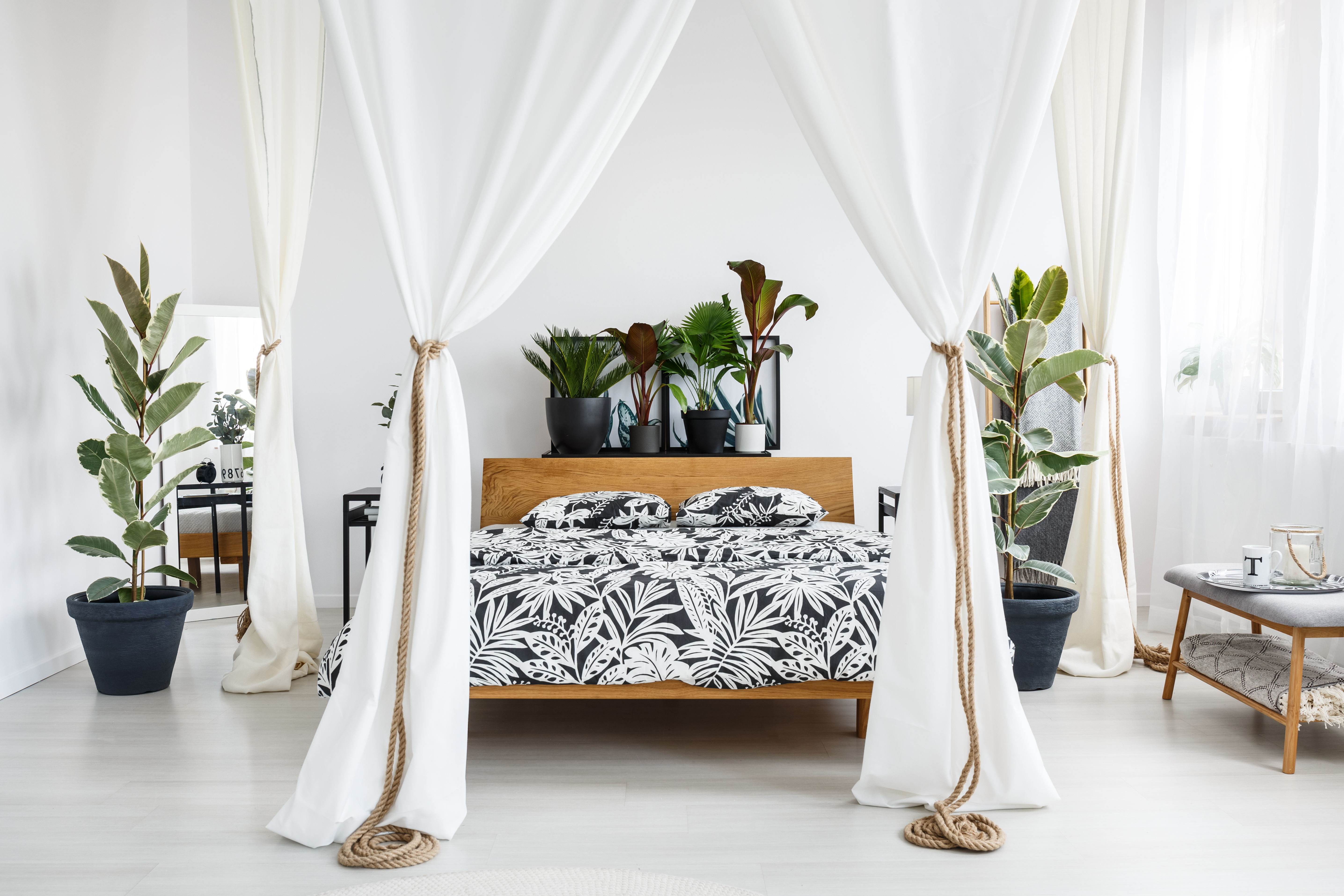 where to place plants in bedroom