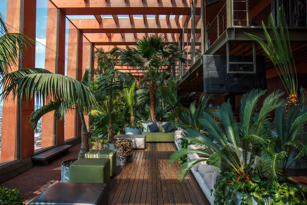 terrace garden with pergolas