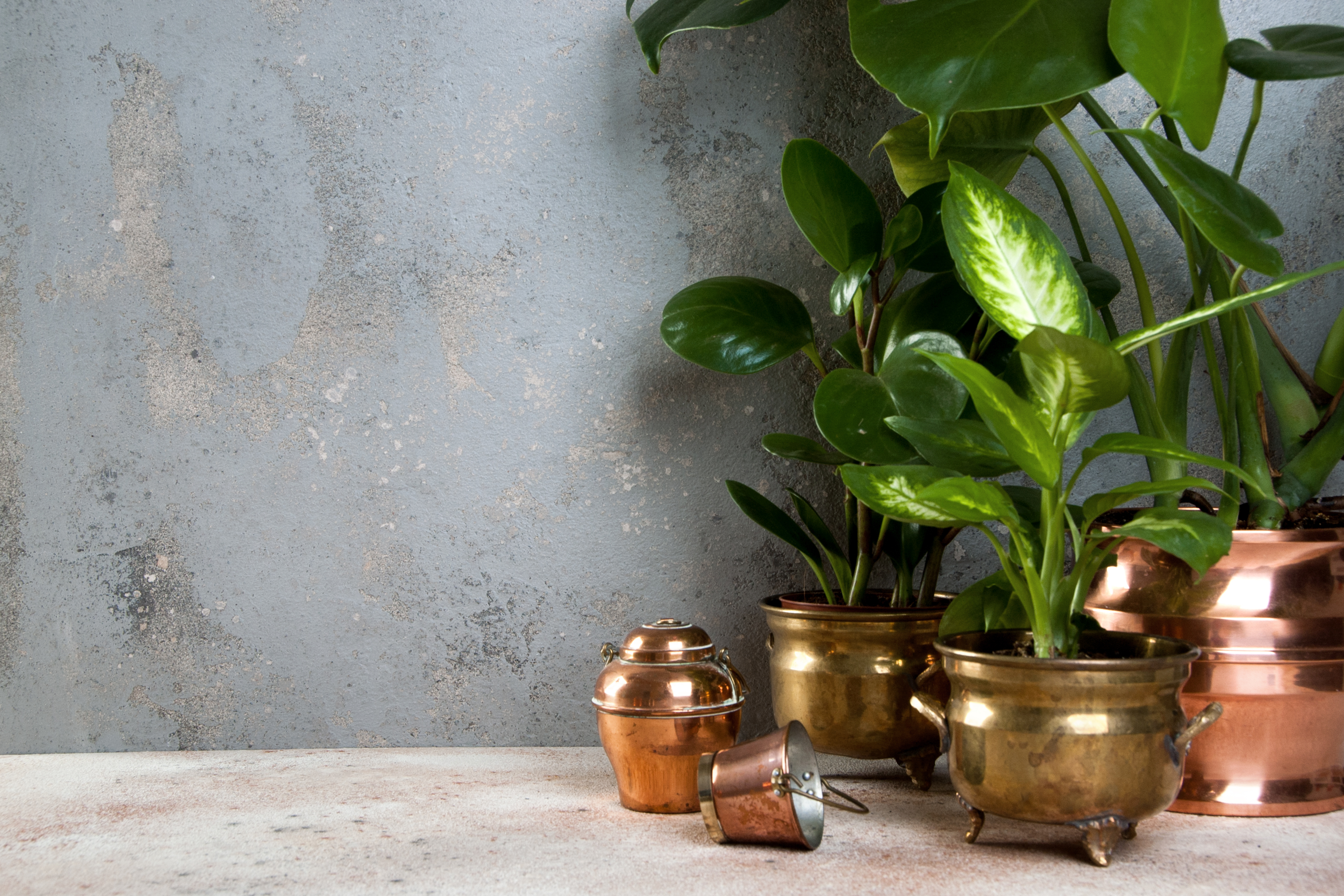 Ethnic Home decor on Maha Shivratri