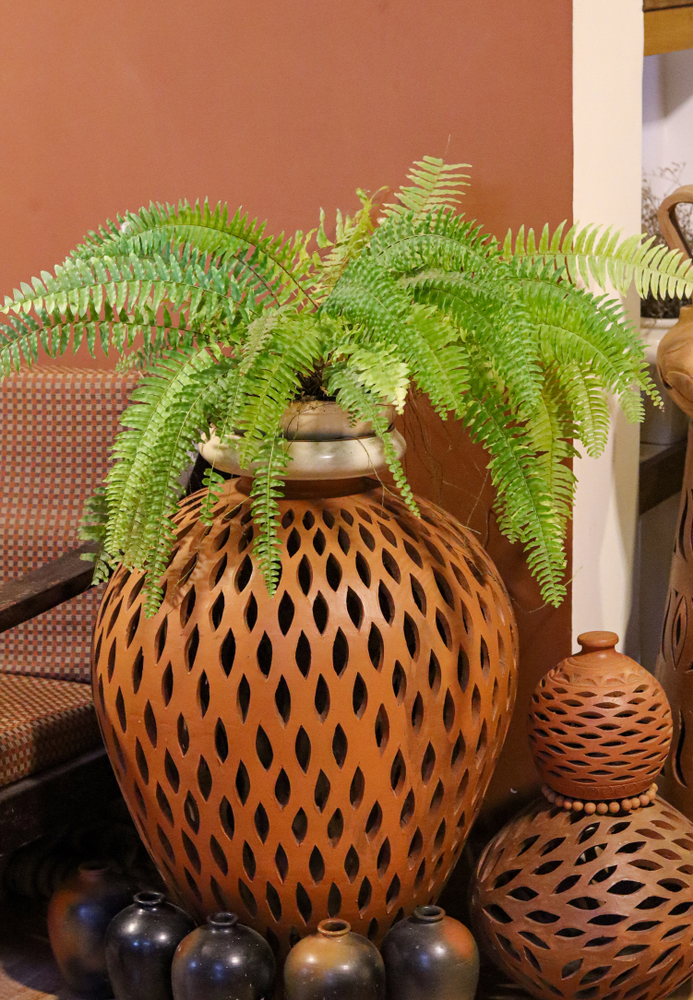 Home design trends in Mysore