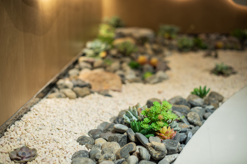 indoor coutrtyard