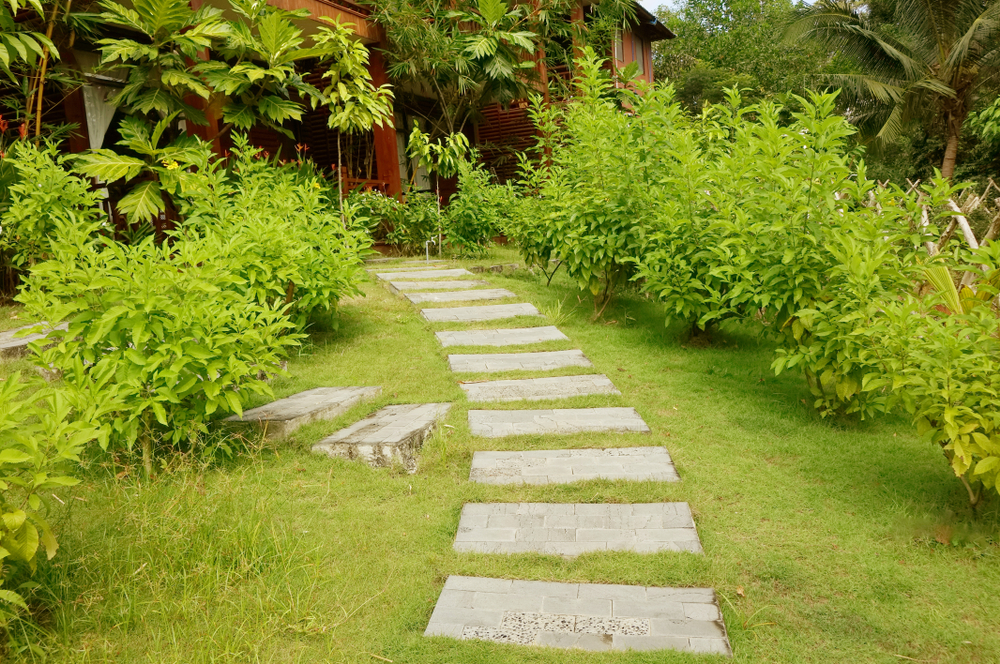 Walkaways ideas for home garden