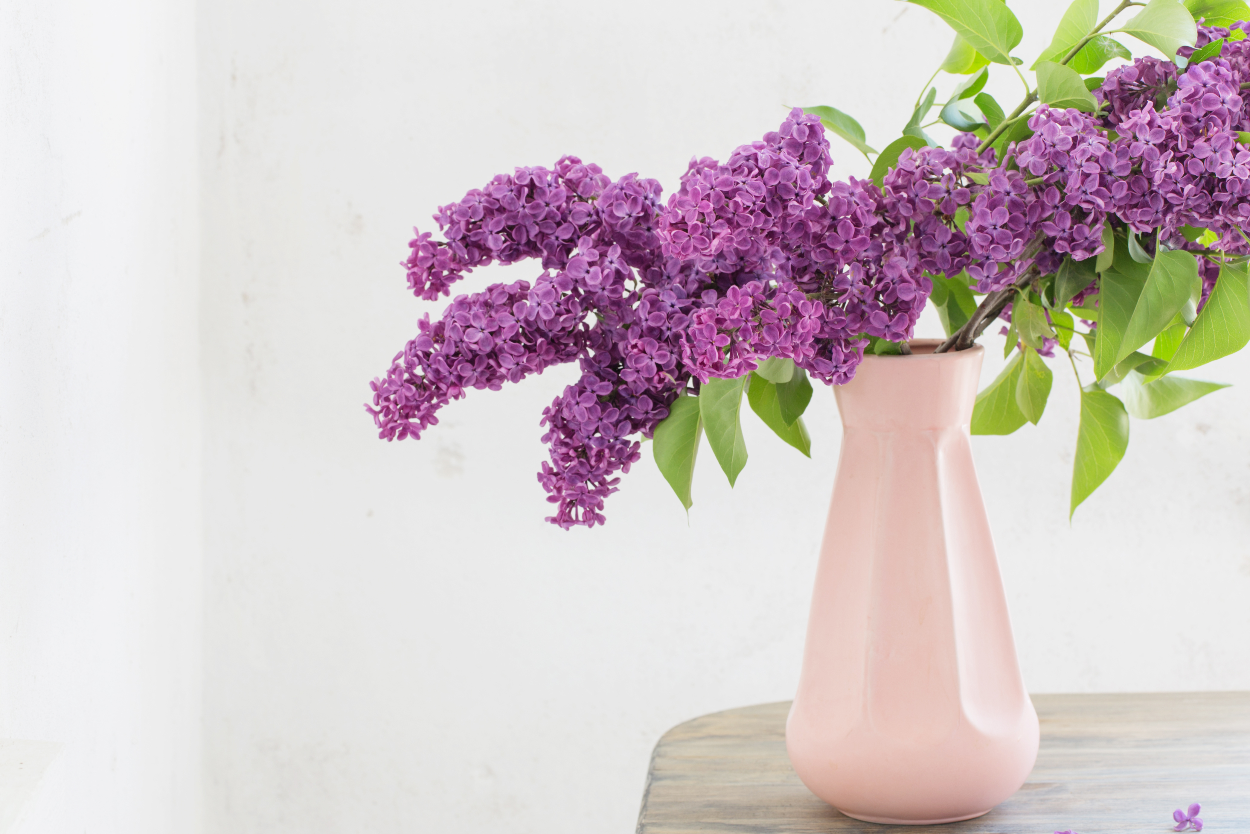 fresh flower arrangement