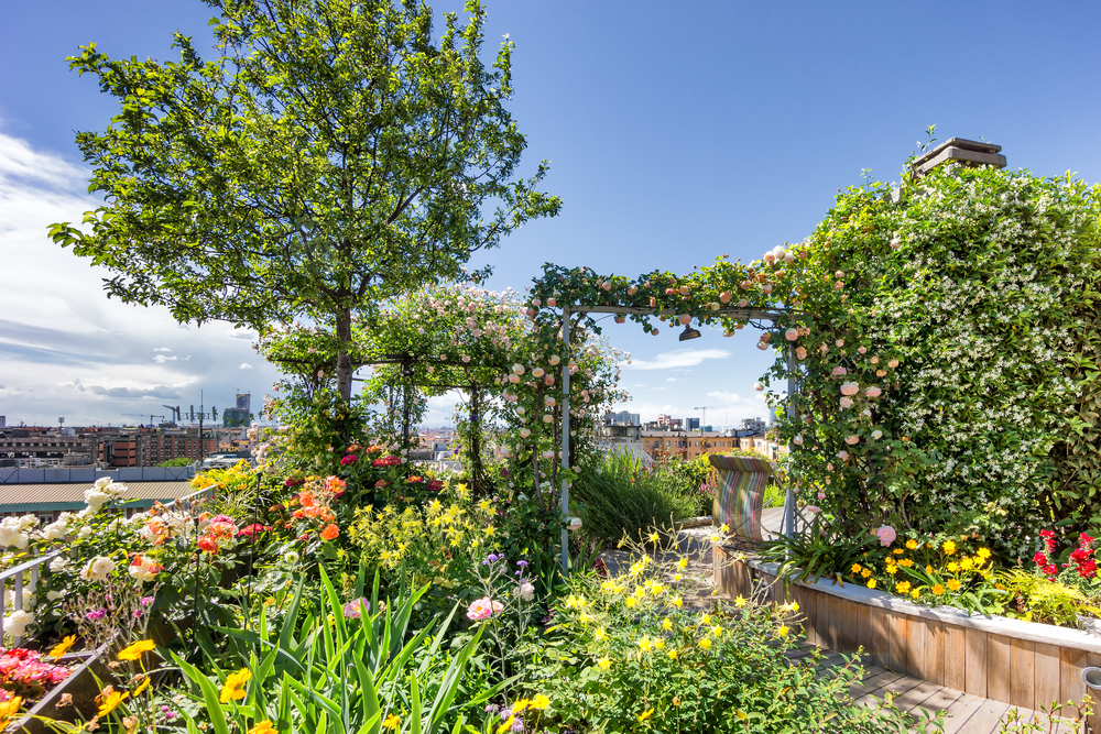 rooftop garden