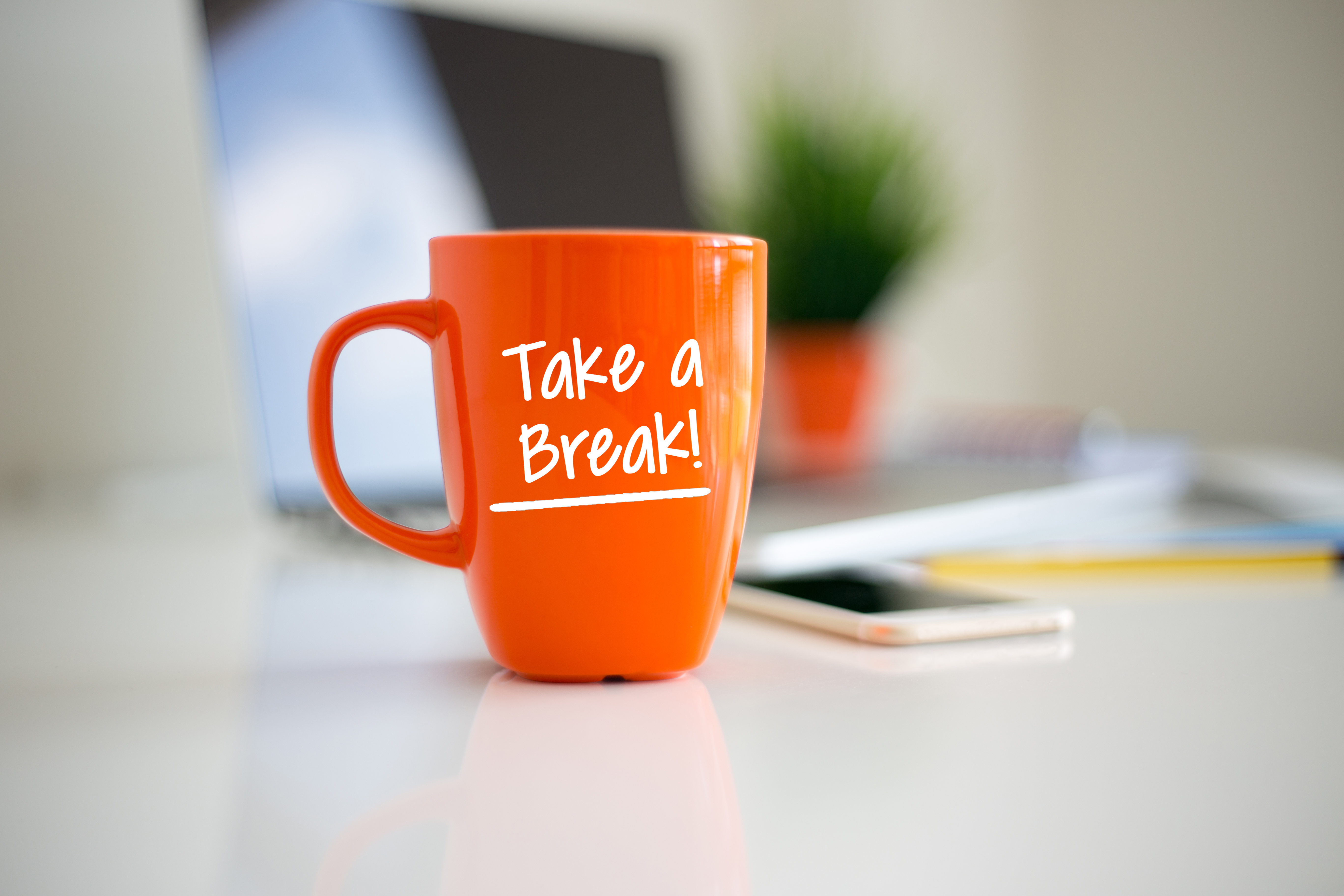 regular breaks in between working hours