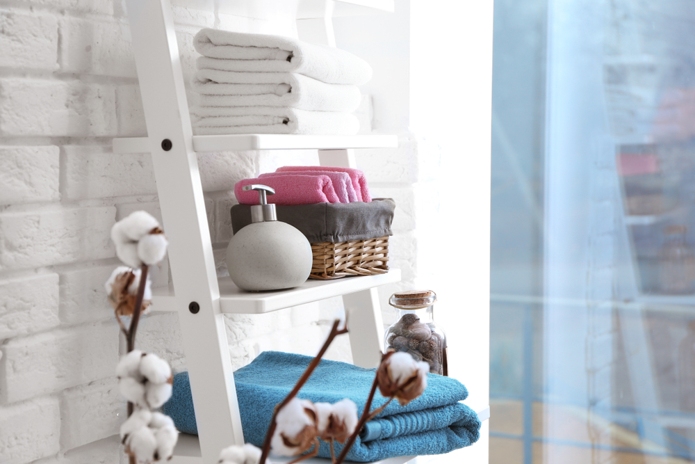 Ladder Storage ideas for Bathroom