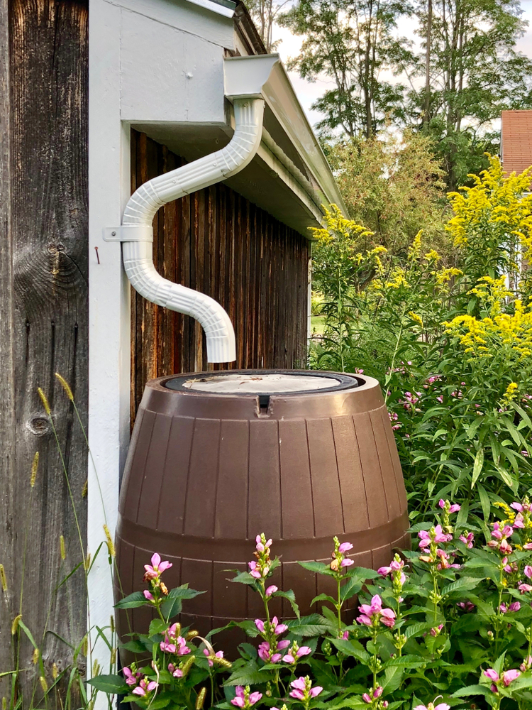 store rainwater in drum