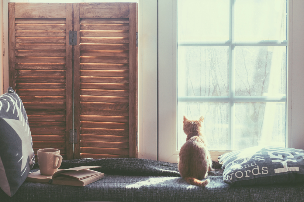 window seat for rain lovers