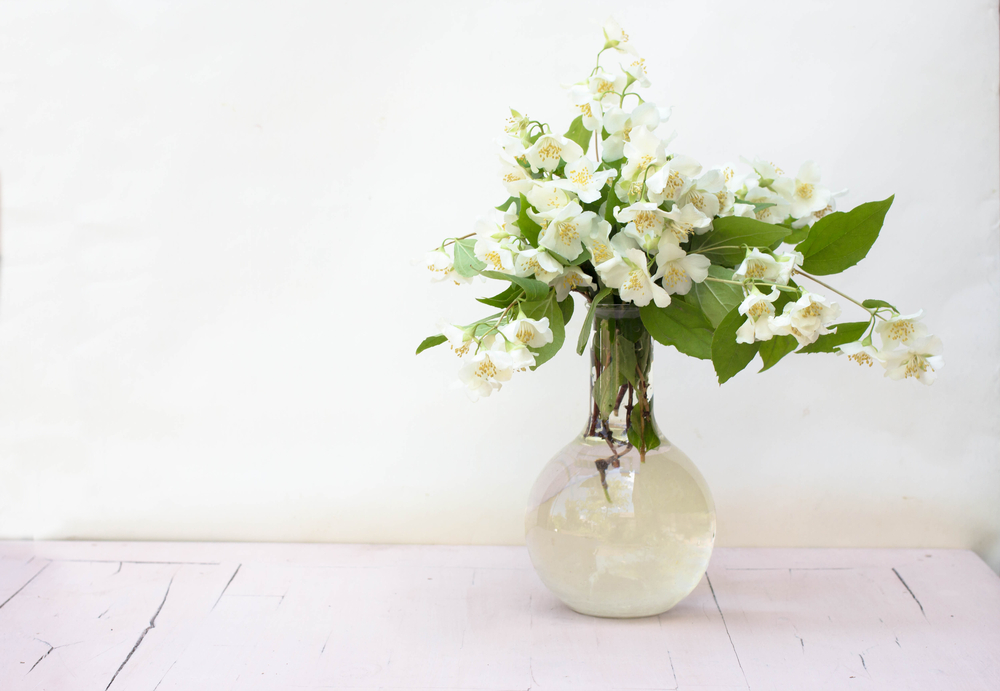 flowering Plants for Vastu