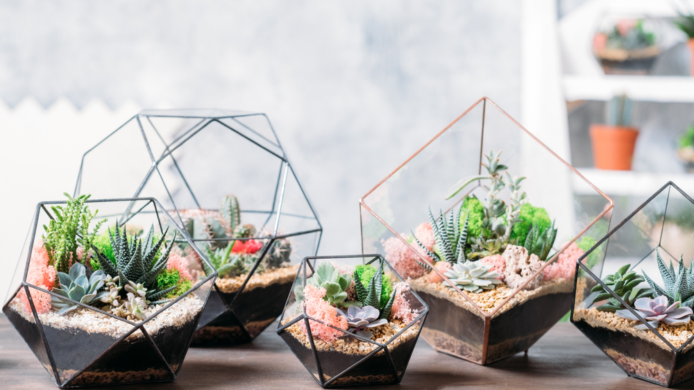 home decor tips to save money