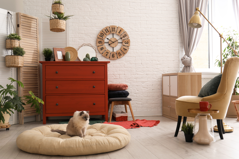 cat friendly homes