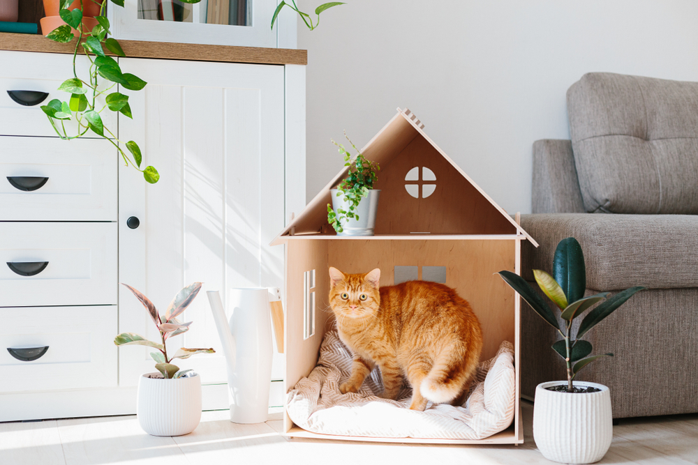 cat house designs