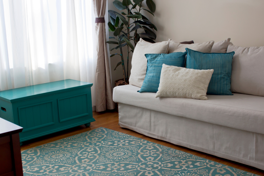 teal carpet and accessories