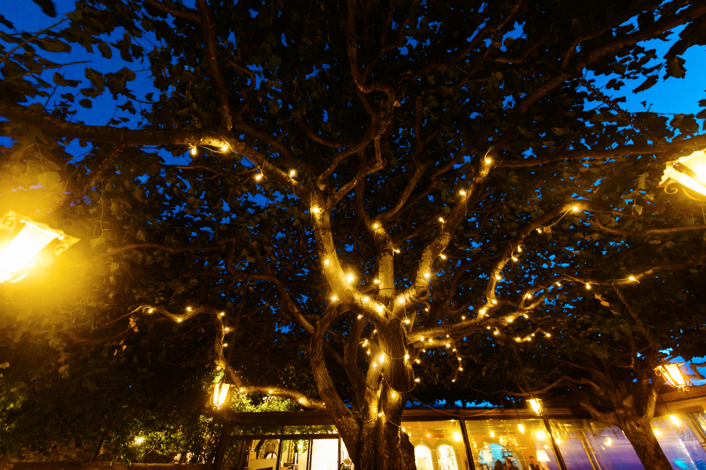 fairy lights for Gurunanak Jayanti