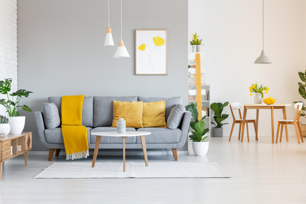 bright cushion colours