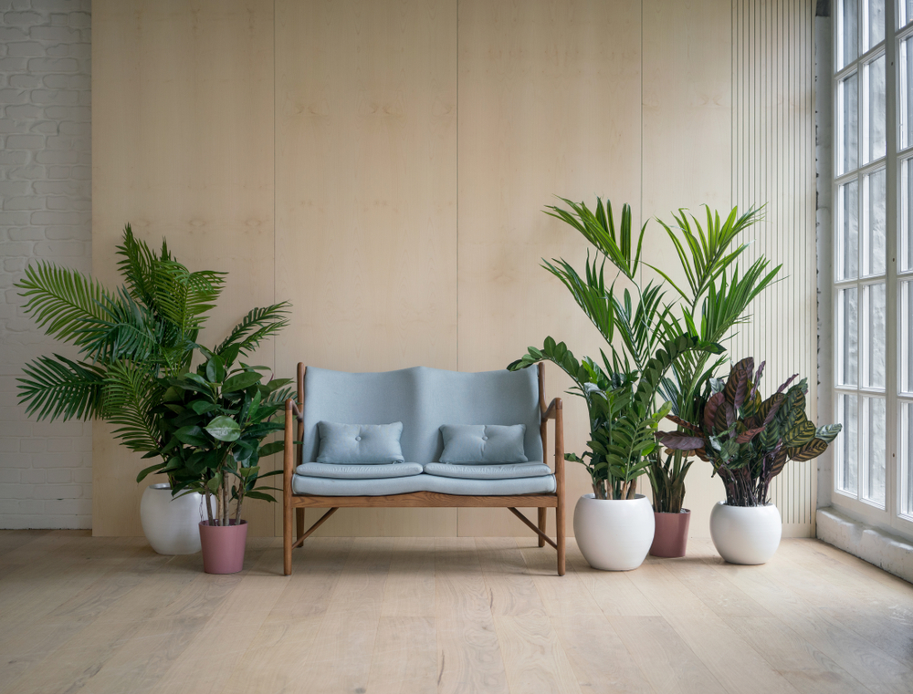 south facing house vastu tips for interiors