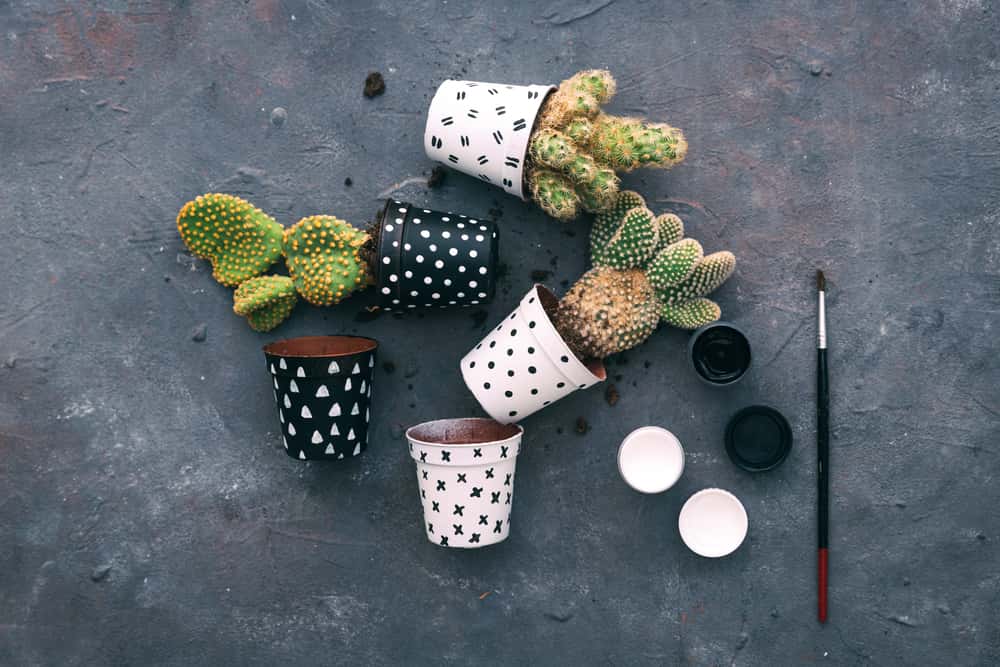 flower pots and vases