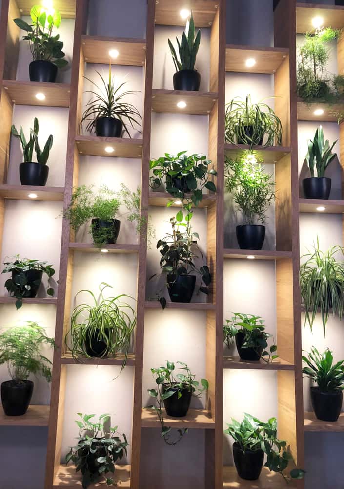 accent shelf lights
