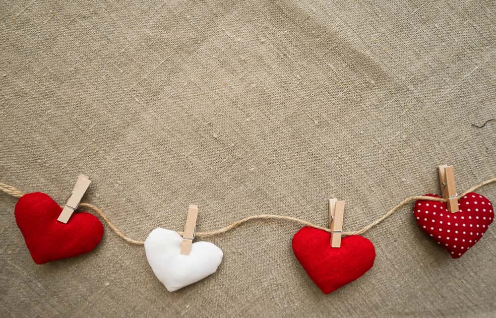 stuffed hearts