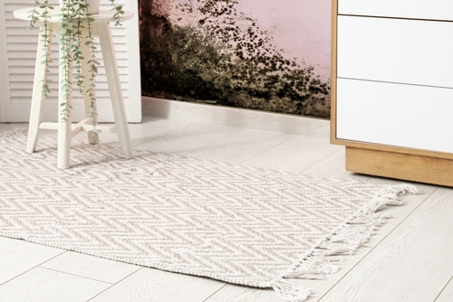 Do Not Use Carpets or Rugs in Damp Areas