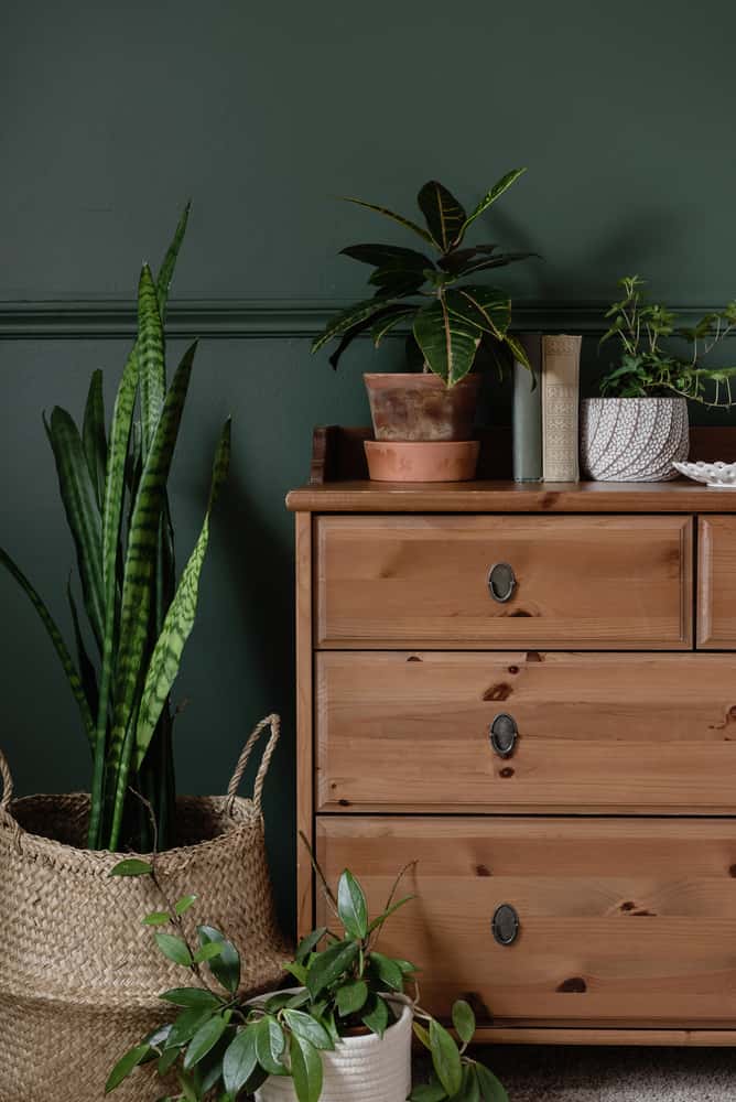 green and warm brown colour combination